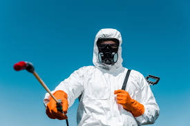 Professional Pest Control in Huachuca City, AZ